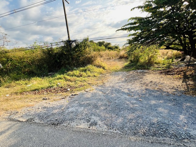 ประกาศฟรี! ซื้อ-ขาย-เช่า คอนโด บ้าน ทาวน์โฮม ที่ดิน และพื้นที่เชิงพาณิชย์ทั่วประเทศไทย ทุกทำเล ทุกงบประมาณ ไม่มีค่าใช้จ่าย ลงง่าย ขายไว เข้าถึงผู้ซื้อโดยตรง 4 513965pic3.jpg