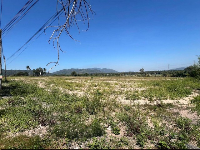 ประกาศฟรี! ซื้อ-ขาย-เช่า คอนโด บ้าน ทาวน์โฮม ที่ดิน และพื้นที่เชิงพาณิชย์ทั่วประเทศไทย ทุกทำเล ทุกงบประมาณ ไม่มีค่าใช้จ่าย ลงง่าย ขายไว เข้าถึงผู้ซื้อโดยตรง 5 252152pic4.jpg