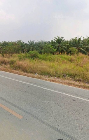 ประกาศฟรี! ซื้อ-ขาย-เช่า คอนโด บ้าน ทาวน์โฮม ที่ดิน และพื้นที่เชิงพาณิชย์ทั่วประเทศไทย ทุกทำเล ทุกงบประมาณ ไม่มีค่าใช้จ่าย ลงง่าย ขายไว เข้าถึงผู้ซื้อโดยตรง 3 252159pic2.jpg