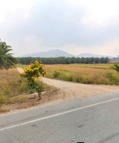 ประกาศฟรี! ซื้อ-ขาย-เช่า คอนโด บ้าน ทาวน์โฮม ที่ดิน และพื้นที่เชิงพาณิชย์ทั่วประเทศไทย ทุกทำเล ทุกงบประมาณ ไม่มีค่าใช้จ่าย ลงง่าย ขายไว เข้าถึงผู้ซื้อโดยตรง 4 252159pic3.jpg