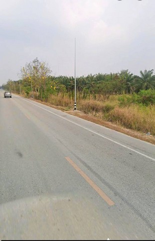 ประกาศฟรี! ซื้อ-ขาย-เช่า คอนโด บ้าน ทาวน์โฮม ที่ดิน และพื้นที่เชิงพาณิชย์ทั่วประเทศไทย ทุกทำเล ทุกงบประมาณ ไม่มีค่าใช้จ่าย ลงง่าย ขายไว เข้าถึงผู้ซื้อโดยตรง 5 252159pic4.jpg