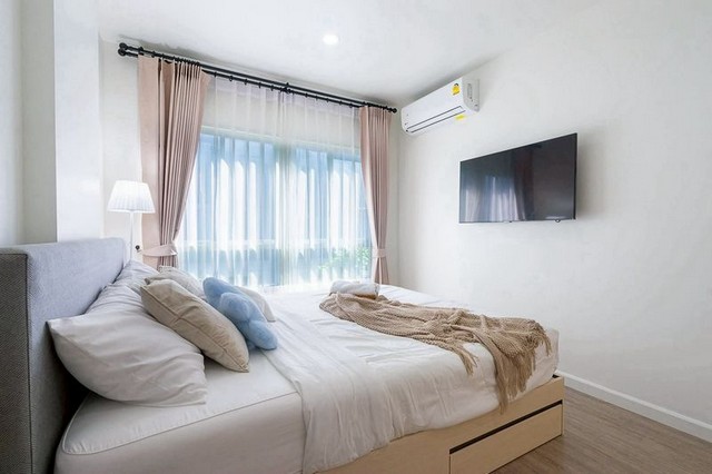 ประกาศฟรี! ซื้อ-ขาย-เช่า คอนโด บ้าน ทาวน์โฮม ที่ดิน และพื้นที่เชิงพาณิชย์ทั่วประเทศไทย ทุกทำเล ทุกงบประมาณ ไม่มีค่าใช้จ่าย ลงง่าย ขายไว เข้าถึงผู้ซื้อโดยตรง 5 252162pic4.jpg