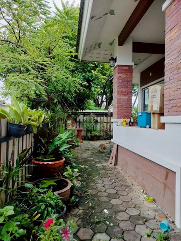 ประกาศฟรี! ซื้อ-ขาย-เช่า คอนโด บ้าน ทาวน์โฮม ที่ดิน และพื้นที่เชิงพาณิชย์ทั่วประเทศไทย ทุกทำเล ทุกงบประมาณ ไม่มีค่าใช้จ่าย ลงง่าย ขายไว เข้าถึงผู้ซื้อโดยตรง 4 252147pic3.jpg