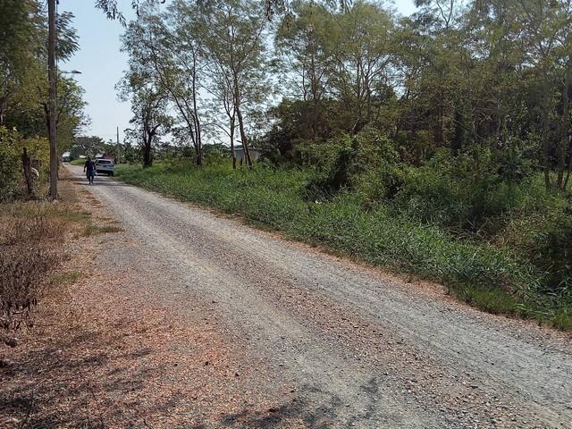 ประกาศฟรี! ซื้อ-ขาย-เช่า คอนโด บ้าน ทาวน์โฮม ที่ดิน และพื้นที่เชิงพาณิชย์ทั่วประเทศไทย ทุกทำเล ทุกงบประมาณ ไม่มีค่าใช้จ่าย ลงง่าย ขายไว เข้าถึงผู้ซื้อโดยตรง 4 513105pic3.jpg