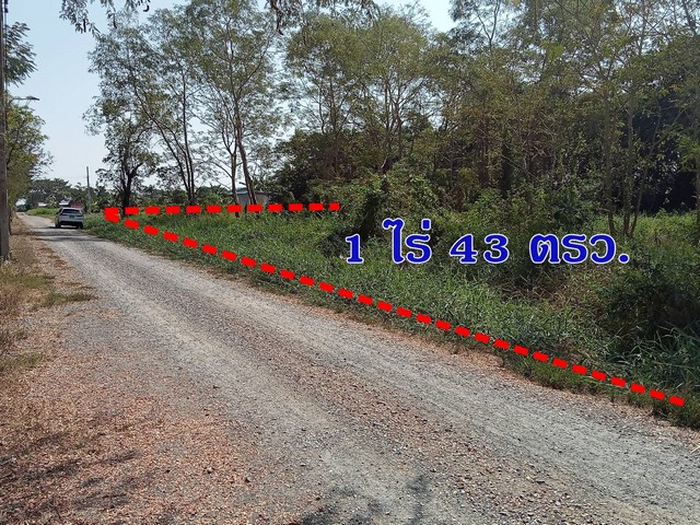 ประกาศฟรี! ซื้อ-ขาย-เช่า คอนโด บ้าน ทาวน์โฮม ที่ดิน และพื้นที่เชิงพาณิชย์ทั่วประเทศไทย ทุกทำเล ทุกงบประมาณ ไม่มีค่าใช้จ่าย ลงง่าย ขายไว เข้าถึงผู้ซื้อโดยตรง 2 513001pic1.jpg