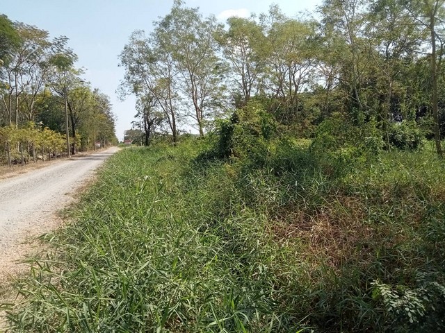 ประกาศฟรี! ซื้อ-ขาย-เช่า คอนโด บ้าน ทาวน์โฮม ที่ดิน และพื้นที่เชิงพาณิชย์ทั่วประเทศไทย ทุกทำเล ทุกงบประมาณ ไม่มีค่าใช้จ่าย ลงง่าย ขายไว เข้าถึงผู้ซื้อโดยตรง 3 513001pic2.jpg