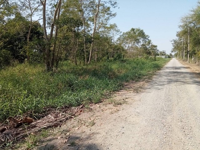 ประกาศฟรี! ซื้อ-ขาย-เช่า คอนโด บ้าน ทาวน์โฮม ที่ดิน และพื้นที่เชิงพาณิชย์ทั่วประเทศไทย ทุกทำเล ทุกงบประมาณ ไม่มีค่าใช้จ่าย ลงง่าย ขายไว เข้าถึงผู้ซื้อโดยตรง 4 513001pic3.jpg