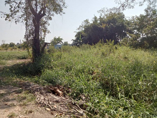 ประกาศฟรี! ซื้อ-ขาย-เช่า คอนโด บ้าน ทาวน์โฮม ที่ดิน และพื้นที่เชิงพาณิชย์ทั่วประเทศไทย ทุกทำเล ทุกงบประมาณ ไม่มีค่าใช้จ่าย ลงง่าย ขายไว เข้าถึงผู้ซื้อโดยตรง 5 513001pic4.jpg