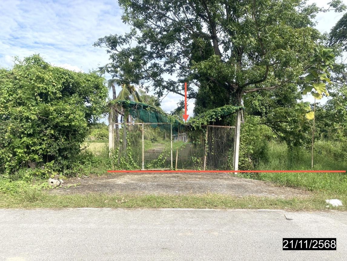 ประกาศฟรี! ซื้อ-ขาย-เช่า คอนโด บ้าน ทาวน์โฮม ที่ดิน และพื้นที่เชิงพาณิชย์ทั่วประเทศไทย ทุกทำเล ทุกงบประมาณ ไม่มีค่าใช้จ่าย ลงง่าย ขายไว เข้าถึงผู้ซื้อโดยตรง 2 251676pic1.jpg