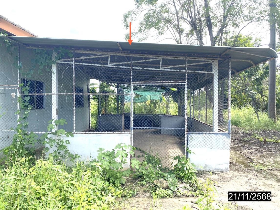 ประกาศฟรี! ซื้อ-ขาย-เช่า คอนโด บ้าน ทาวน์โฮม ที่ดิน และพื้นที่เชิงพาณิชย์ทั่วประเทศไทย ทุกทำเล ทุกงบประมาณ ไม่มีค่าใช้จ่าย ลงง่าย ขายไว เข้าถึงผู้ซื้อโดยตรง 3 251676pic2.jpg