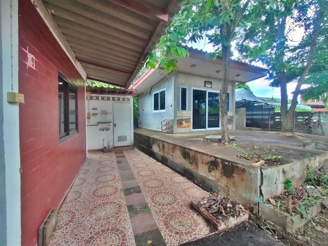 ประกาศฟรี! ซื้อ-ขาย-เช่า คอนโด บ้าน ทาวน์โฮม ที่ดิน และพื้นที่เชิงพาณิชย์ทั่วประเทศไทย ทุกทำเล ทุกงบประมาณ ไม่มีค่าใช้จ่าย ลงง่าย ขายไว เข้าถึงผู้ซื้อโดยตรง 3 252081pic2.jpg