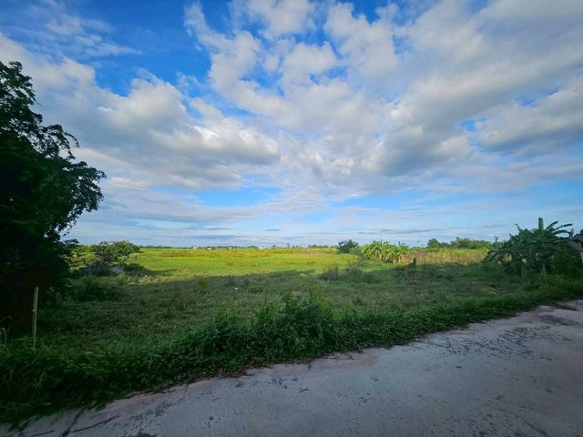 ประกาศฟรี! ซื้อ-ขาย-เช่า คอนโด บ้าน ทาวน์โฮม ที่ดิน และพื้นที่เชิงพาณิชย์ทั่วประเทศไทย ทุกทำเล ทุกงบประมาณ ไม่มีค่าใช้จ่าย ลงง่าย ขายไว เข้าถึงผู้ซื้อโดยตรง 3 314997pic2.jpg