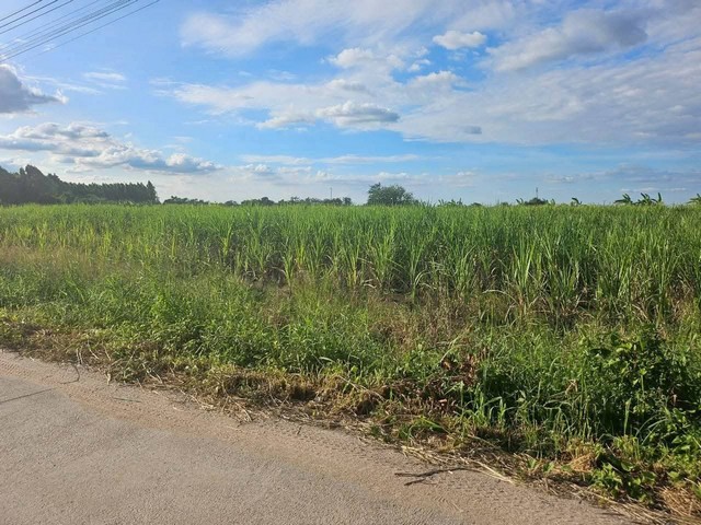 ประกาศฟรี! ซื้อ-ขาย-เช่า คอนโด บ้าน ทาวน์โฮม ที่ดิน และพื้นที่เชิงพาณิชย์ทั่วประเทศไทย ทุกทำเล ทุกงบประมาณ ไม่มีค่าใช้จ่าย ลงง่าย ขายไว เข้าถึงผู้ซื้อโดยตรง 4 314997pic3.jpg