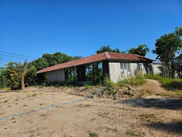 ประกาศฟรี! ซื้อ-ขาย-เช่า คอนโด บ้าน ทาวน์โฮม ที่ดิน และพื้นที่เชิงพาณิชย์ทั่วประเทศไทย ทุกทำเล ทุกงบประมาณ ไม่มีค่าใช้จ่าย ลงง่าย ขายไว เข้าถึงผู้ซื้อโดยตรง 2 314991pic1.jpg