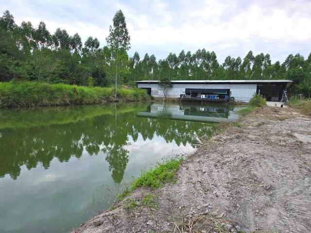 ประกาศฟรี! ซื้อ-ขาย-เช่า คอนโด บ้าน ทาวน์โฮม ที่ดิน และพื้นที่เชิงพาณิชย์ทั่วประเทศไทย ทุกทำเล ทุกงบประมาณ ไม่มีค่าใช้จ่าย ลงง่าย ขายไว เข้าถึงผู้ซื้อโดยตรง 4 314991pic3.jpg