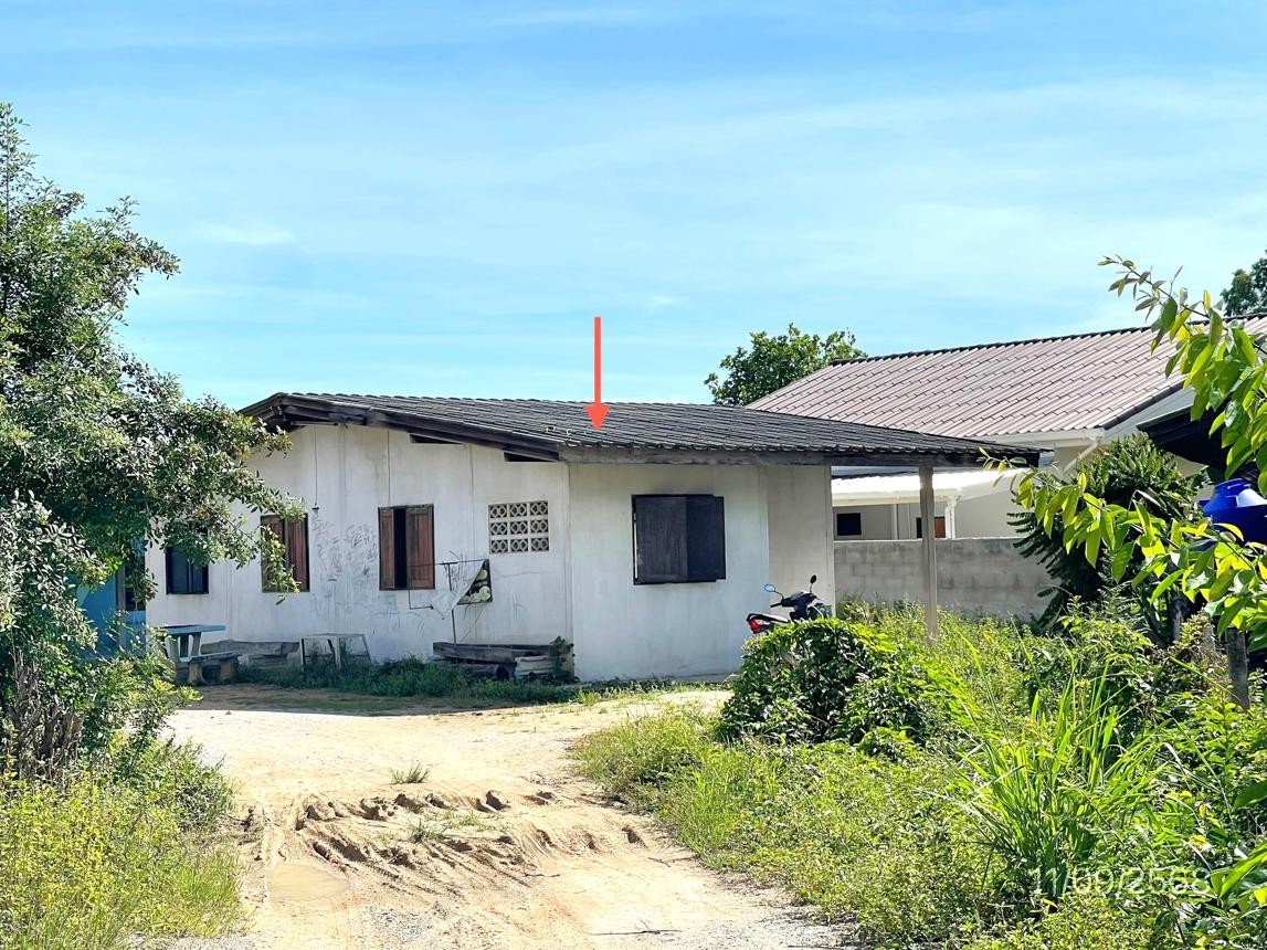 ประกาศฟรี! ซื้อ-ขาย-เช่า คอนโด บ้าน ทาวน์โฮม ที่ดิน และพื้นที่เชิงพาณิชย์ทั่วประเทศไทย ทุกทำเล ทุกงบประมาณ ไม่มีค่าใช้จ่าย ลงง่าย ขายไว เข้าถึงผู้ซื้อโดยตรง 3 251774pic2.jpg