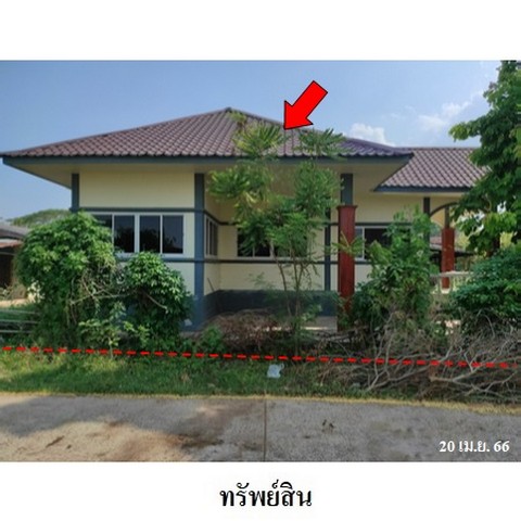 ประกาศฟรี! ซื้อ-ขาย-เช่า คอนโด บ้าน ทาวน์โฮม ที่ดิน และพื้นที่เชิงพาณิชย์ทั่วประเทศไทย ทุกทำเล ทุกงบประมาณ ไม่มีค่าใช้จ่าย ลงง่าย ขายไว เข้าถึงผู้ซื้อโดยตรง 2 238109pic1.jpg