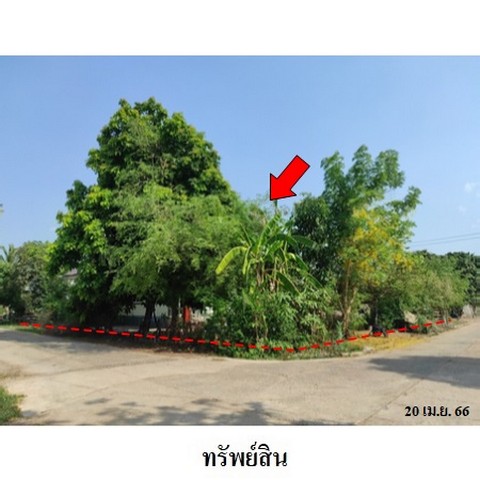 ประกาศฟรี! ซื้อ-ขาย-เช่า คอนโด บ้าน ทาวน์โฮม ที่ดิน และพื้นที่เชิงพาณิชย์ทั่วประเทศไทย ทุกทำเล ทุกงบประมาณ ไม่มีค่าใช้จ่าย ลงง่าย ขายไว เข้าถึงผู้ซื้อโดยตรง 4 238109pic3.jpg