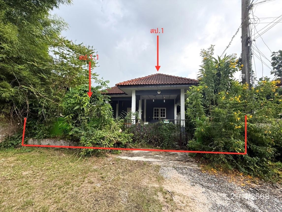 ประกาศฟรี! ซื้อ-ขาย-เช่า คอนโด บ้าน ทาวน์โฮม ที่ดิน และพื้นที่เชิงพาณิชย์ทั่วประเทศไทย ทุกทำเล ทุกงบประมาณ ไม่มีค่าใช้จ่าย ลงง่าย ขายไว เข้าถึงผู้ซื้อโดยตรง 2 251773pic1.jpg