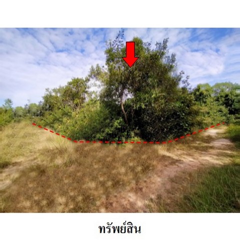 ประกาศฟรี! ซื้อ-ขาย-เช่า คอนโด บ้าน ทาวน์โฮม ที่ดิน และพื้นที่เชิงพาณิชย์ทั่วประเทศไทย ทุกทำเล ทุกงบประมาณ ไม่มีค่าใช้จ่าย ลงง่าย ขายไว เข้าถึงผู้ซื้อโดยตรง 3 238104pic2.jpg