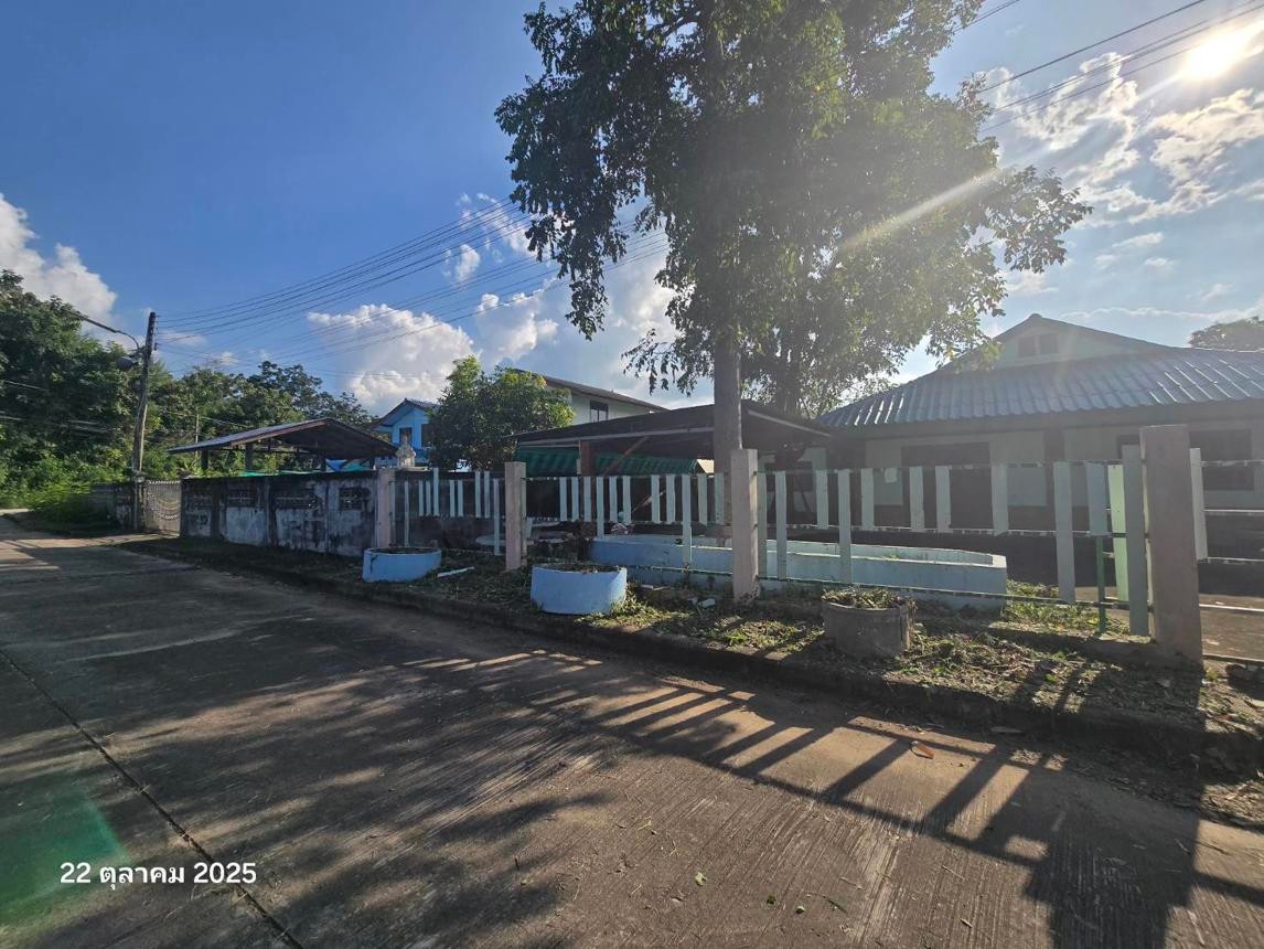 ประกาศฟรี! ซื้อ-ขาย-เช่า คอนโด บ้าน ทาวน์โฮม ที่ดิน และพื้นที่เชิงพาณิชย์ทั่วประเทศไทย ทุกทำเล ทุกงบประมาณ ไม่มีค่าใช้จ่าย ลงง่าย ขายไว เข้าถึงผู้ซื้อโดยตรง 4 251764pic3.jpg