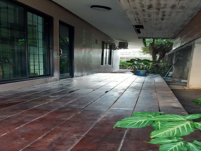 ประกาศฟรี! ซื้อ-ขาย-เช่า คอนโด บ้าน ทาวน์โฮม ที่ดิน และพื้นที่เชิงพาณิชย์ทั่วประเทศไทย ทุกทำเล ทุกงบประมาณ ไม่มีค่าใช้จ่าย ลงง่าย ขายไว เข้าถึงผู้ซื้อโดยตรง 3 513161pic2.jpg