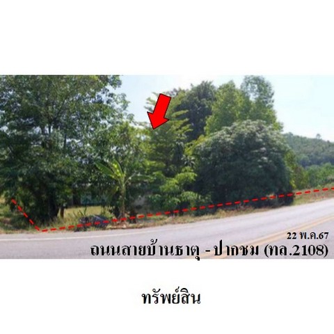 ประกาศฟรี! ซื้อ-ขาย-เช่า คอนโด บ้าน ทาวน์โฮม ที่ดิน และพื้นที่เชิงพาณิชย์ทั่วประเทศไทย ทุกทำเล ทุกงบประมาณ ไม่มีค่าใช้จ่าย ลงง่าย ขายไว เข้าถึงผู้ซื้อโดยตรง 2 238175pic1.jpg