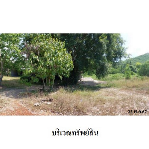 ประกาศฟรี! ซื้อ-ขาย-เช่า คอนโด บ้าน ทาวน์โฮม ที่ดิน และพื้นที่เชิงพาณิชย์ทั่วประเทศไทย ทุกทำเล ทุกงบประมาณ ไม่มีค่าใช้จ่าย ลงง่าย ขายไว เข้าถึงผู้ซื้อโดยตรง 4 238175pic3.jpg