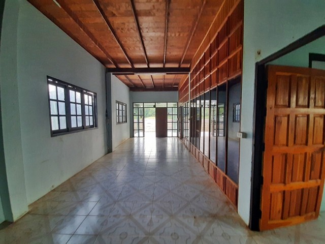 ประกาศฟรี! ซื้อ-ขาย-เช่า คอนโด บ้าน ทาวน์โฮม ที่ดิน และพื้นที่เชิงพาณิชย์ทั่วประเทศไทย ทุกทำเล ทุกงบประมาณ ไม่มีค่าใช้จ่าย ลงง่าย ขายไว เข้าถึงผู้ซื้อโดยตรง 5 251776pic4.jpg