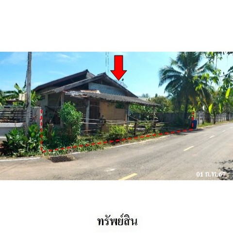 ประกาศฟรี! ซื้อ-ขาย-เช่า คอนโด บ้าน ทาวน์โฮม ที่ดิน และพื้นที่เชิงพาณิชย์ทั่วประเทศไทย ทุกทำเล ทุกงบประมาณ ไม่มีค่าใช้จ่าย ลงง่าย ขายไว เข้าถึงผู้ซื้อโดยตรง 4 238169pic3.jpg