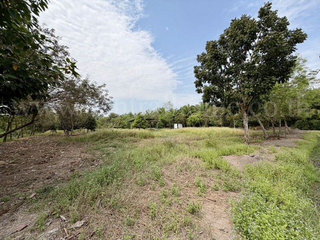 ประกาศฟรี! ซื้อ-ขาย-เช่า คอนโด บ้าน ทาวน์โฮม ที่ดิน และพื้นที่เชิงพาณิชย์ทั่วประเทศไทย ทุกทำเล ทุกงบประมาณ ไม่มีค่าใช้จ่าย ลงง่าย ขายไว เข้าถึงผู้ซื้อโดยตรง 3 294017pic2.jpg