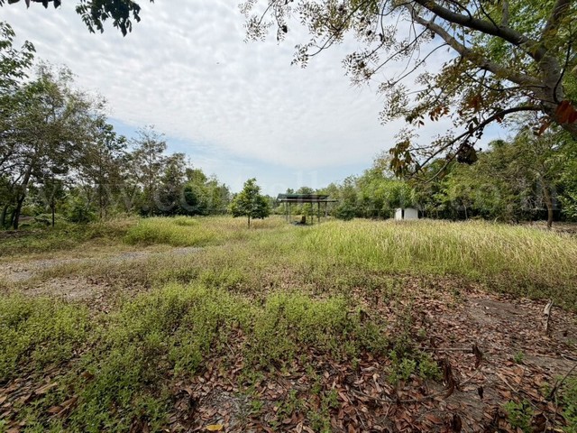 ประกาศฟรี! ซื้อ-ขาย-เช่า คอนโด บ้าน ทาวน์โฮม ที่ดิน และพื้นที่เชิงพาณิชย์ทั่วประเทศไทย ทุกทำเล ทุกงบประมาณ ไม่มีค่าใช้จ่าย ลงง่าย ขายไว เข้าถึงผู้ซื้อโดยตรง 4 294017pic3.jpg