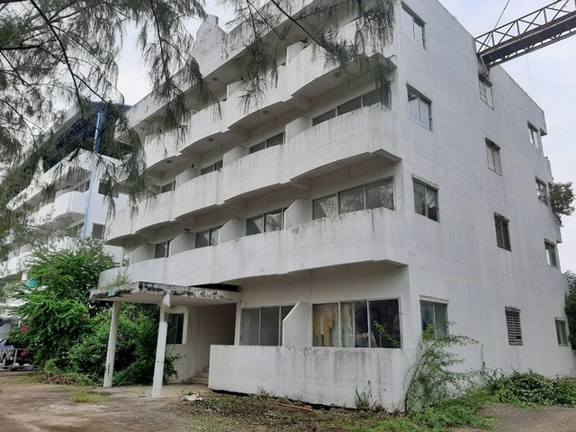 ประกาศฟรี! ซื้อ-ขาย-เช่า คอนโด บ้าน ทาวน์โฮม ที่ดิน และพื้นที่เชิงพาณิชย์ทั่วประเทศไทย ทุกทำเล ทุกงบประมาณ ไม่มีค่าใช้จ่าย ลงง่าย ขายไว เข้าถึงผู้ซื้อโดยตรง 2 251765pic1.jpg