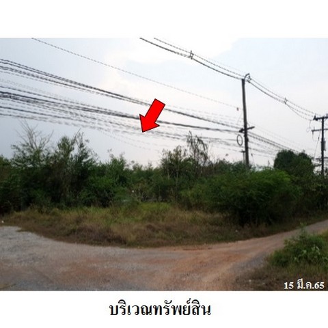 ประกาศฟรี! ซื้อ-ขาย-เช่า คอนโด บ้าน ทาวน์โฮม ที่ดิน และพื้นที่เชิงพาณิชย์ทั่วประเทศไทย ทุกทำเล ทุกงบประมาณ ไม่มีค่าใช้จ่าย ลงง่าย ขายไว เข้าถึงผู้ซื้อโดยตรง 4 238164pic3.jpg