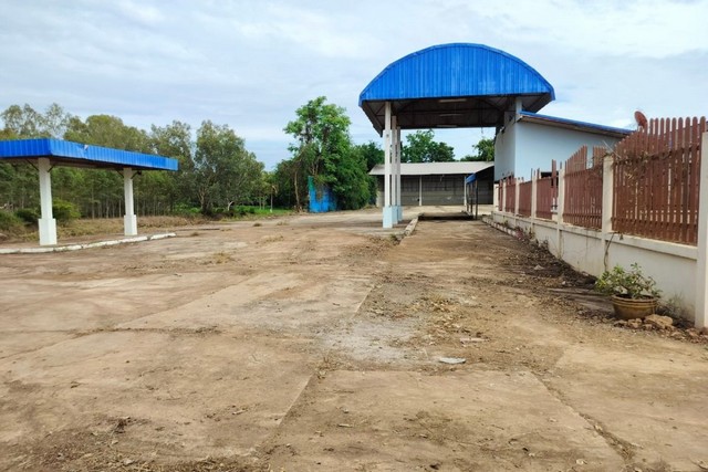 ประกาศฟรี! ซื้อ-ขาย-เช่า คอนโด บ้าน ทาวน์โฮม ที่ดิน และพื้นที่เชิงพาณิชย์ทั่วประเทศไทย ทุกทำเล ทุกงบประมาณ ไม่มีค่าใช้จ่าย ลงง่าย ขายไว เข้าถึงผู้ซื้อโดยตรง 4 251759pic3.jpg