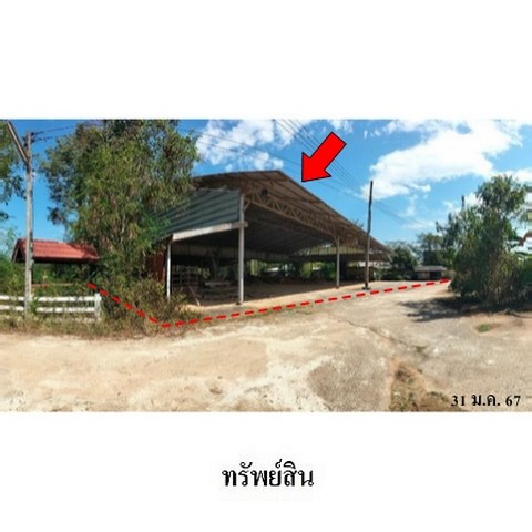 ประกาศฟรี! ซื้อ-ขาย-เช่า คอนโด บ้าน ทาวน์โฮม ที่ดิน และพื้นที่เชิงพาณิชย์ทั่วประเทศไทย ทุกทำเล ทุกงบประมาณ ไม่มีค่าใช้จ่าย ลงง่าย ขายไว เข้าถึงผู้ซื้อโดยตรง 3 238113pic2.jpg