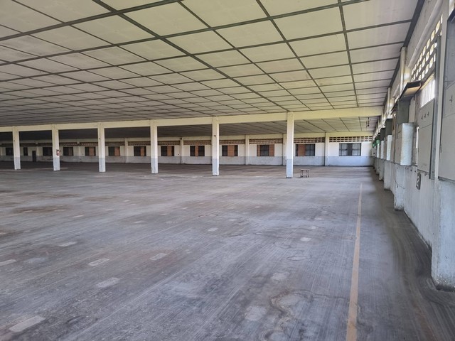 ประกาศฟรี! ซื้อ-ขาย-เช่า คอนโด บ้าน ทาวน์โฮม ที่ดิน และพื้นที่เชิงพาณิชย์ทั่วประเทศไทย ทุกทำเล ทุกงบประมาณ ไม่มีค่าใช้จ่าย ลงง่าย ขายไว เข้าถึงผู้ซื้อโดยตรง 3 514186pic2.jpg