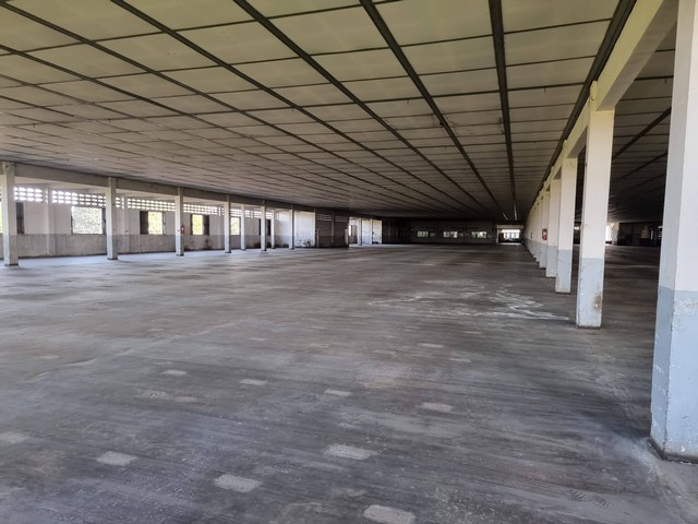 ประกาศฟรี! ซื้อ-ขาย-เช่า คอนโด บ้าน ทาวน์โฮม ที่ดิน และพื้นที่เชิงพาณิชย์ทั่วประเทศไทย ทุกทำเล ทุกงบประมาณ ไม่มีค่าใช้จ่าย ลงง่าย ขายไว เข้าถึงผู้ซื้อโดยตรง 4 514186pic3.jpg