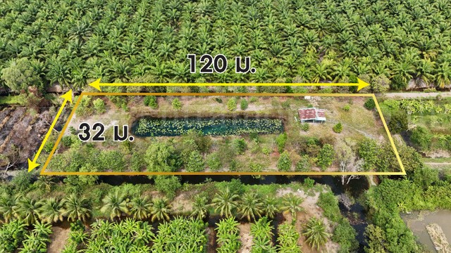 ประกาศฟรี! ซื้อ-ขาย-เช่า คอนโด บ้าน ทาวน์โฮม ที่ดิน และพื้นที่เชิงพาณิชย์ทั่วประเทศไทย ทุกทำเล ทุกงบประมาณ ไม่มีค่าใช้จ่าย ลงง่าย ขายไว เข้าถึงผู้ซื้อโดยตรง 2 294017pic1.jpg