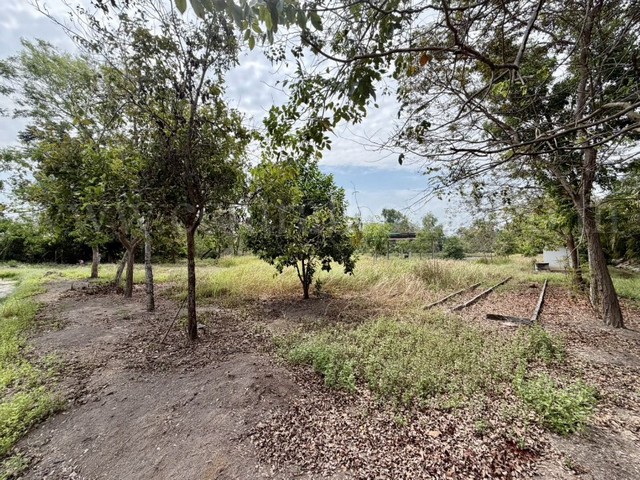 ประกาศฟรี! ซื้อ-ขาย-เช่า คอนโด บ้าน ทาวน์โฮม ที่ดิน และพื้นที่เชิงพาณิชย์ทั่วประเทศไทย ทุกทำเล ทุกงบประมาณ ไม่มีค่าใช้จ่าย ลงง่าย ขายไว เข้าถึงผู้ซื้อโดยตรง 5 294017pic4.jpg