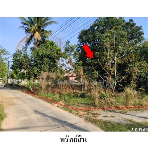 ประกาศฟรี! ซื้อ-ขาย-เช่า คอนโด บ้าน ทาวน์โฮม ที่ดิน และพื้นที่เชิงพาณิชย์ทั่วประเทศไทย ทุกทำเล ทุกงบประมาณ ไม่มีค่าใช้จ่าย ลงง่าย ขายไว เข้าถึงผู้ซื้อโดยตรง 2 238272pic1.jpg