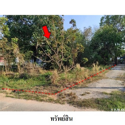 ประกาศฟรี! ซื้อ-ขาย-เช่า คอนโด บ้าน ทาวน์โฮม ที่ดิน และพื้นที่เชิงพาณิชย์ทั่วประเทศไทย ทุกทำเล ทุกงบประมาณ ไม่มีค่าใช้จ่าย ลงง่าย ขายไว เข้าถึงผู้ซื้อโดยตรง 4 238272pic3.jpg