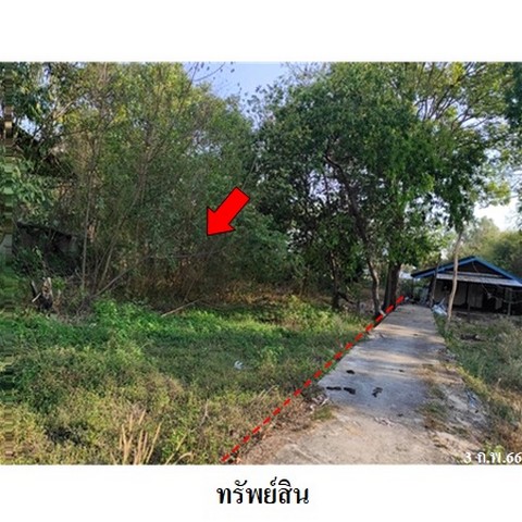 ประกาศฟรี! ซื้อ-ขาย-เช่า คอนโด บ้าน ทาวน์โฮม ที่ดิน และพื้นที่เชิงพาณิชย์ทั่วประเทศไทย ทุกทำเล ทุกงบประมาณ ไม่มีค่าใช้จ่าย ลงง่าย ขายไว เข้าถึงผู้ซื้อโดยตรง 5 238272pic4.jpg