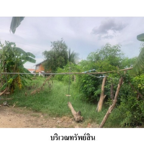 ประกาศฟรี! ซื้อ-ขาย-เช่า คอนโด บ้าน ทาวน์โฮม ที่ดิน และพื้นที่เชิงพาณิชย์ทั่วประเทศไทย ทุกทำเล ทุกงบประมาณ ไม่มีค่าใช้จ่าย ลงง่าย ขายไว เข้าถึงผู้ซื้อโดยตรง 5 238271pic4.jpg