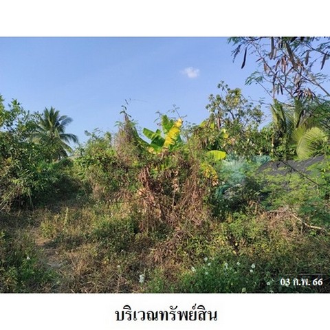 ประกาศฟรี! ซื้อ-ขาย-เช่า คอนโด บ้าน ทาวน์โฮม ที่ดิน และพื้นที่เชิงพาณิชย์ทั่วประเทศไทย ทุกทำเล ทุกงบประมาณ ไม่มีค่าใช้จ่าย ลงง่าย ขายไว เข้าถึงผู้ซื้อโดยตรง 3 238270pic2.jpg