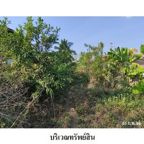 ประกาศฟรี! ซื้อ-ขาย-เช่า คอนโด บ้าน ทาวน์โฮม ที่ดิน และพื้นที่เชิงพาณิชย์ทั่วประเทศไทย ทุกทำเล ทุกงบประมาณ ไม่มีค่าใช้จ่าย ลงง่าย ขายไว เข้าถึงผู้ซื้อโดยตรง 4 238270pic3.jpg