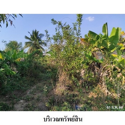 ประกาศฟรี! ซื้อ-ขาย-เช่า คอนโด บ้าน ทาวน์โฮม ที่ดิน และพื้นที่เชิงพาณิชย์ทั่วประเทศไทย ทุกทำเล ทุกงบประมาณ ไม่มีค่าใช้จ่าย ลงง่าย ขายไว เข้าถึงผู้ซื้อโดยตรง 5 238270pic4.jpg