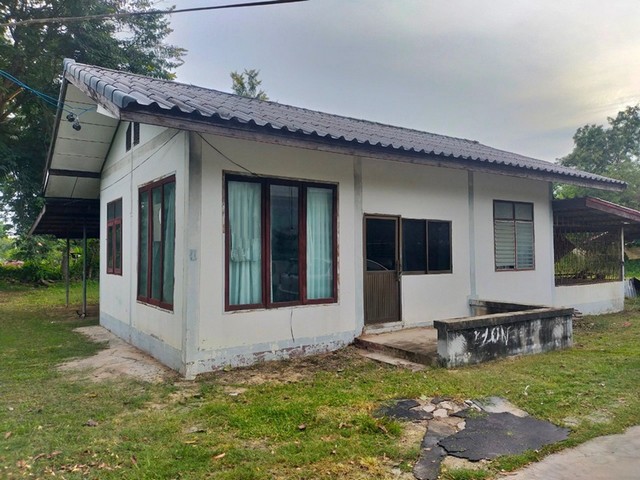 ประกาศฟรี! ซื้อ-ขาย-เช่า คอนโด บ้าน ทาวน์โฮม ที่ดิน และพื้นที่เชิงพาณิชย์ทั่วประเทศไทย ทุกทำเล ทุกงบประมาณ ไม่มีค่าใช้จ่าย ลงง่าย ขายไว เข้าถึงผู้ซื้อโดยตรง 2 251841pic1.jpg