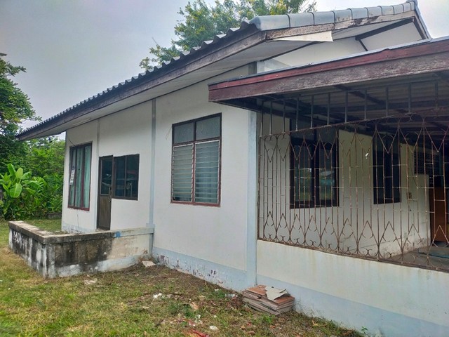 ประกาศฟรี! ซื้อ-ขาย-เช่า คอนโด บ้าน ทาวน์โฮม ที่ดิน และพื้นที่เชิงพาณิชย์ทั่วประเทศไทย ทุกทำเล ทุกงบประมาณ ไม่มีค่าใช้จ่าย ลงง่าย ขายไว เข้าถึงผู้ซื้อโดยตรง 3 251841pic2.jpg