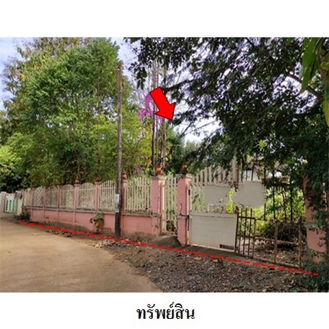 ประกาศฟรี! ซื้อ-ขาย-เช่า คอนโด บ้าน ทาวน์โฮม ที่ดิน และพื้นที่เชิงพาณิชย์ทั่วประเทศไทย ทุกทำเล ทุกงบประมาณ ไม่มีค่าใช้จ่าย ลงง่าย ขายไว เข้าถึงผู้ซื้อโดยตรง 2 238207pic1.jpg